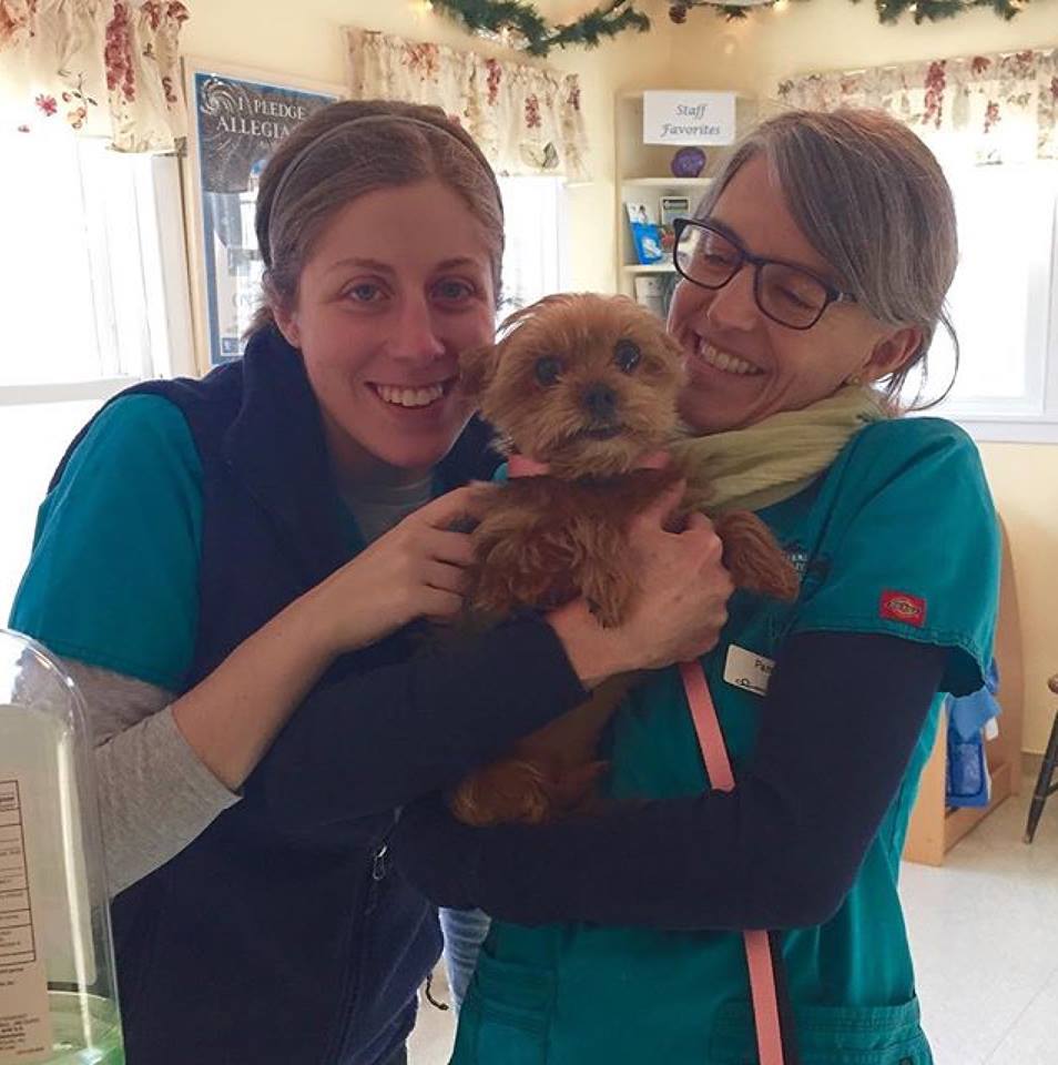 Groomers Veterinary and Rehabiliation Center of Cape Elizabeth